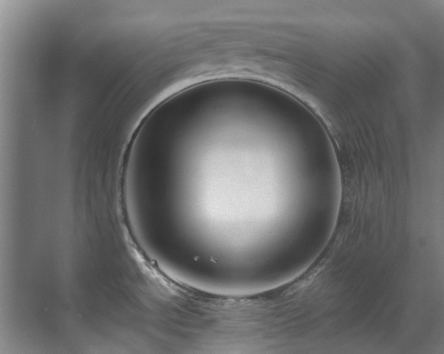 X0000071831534200606301306