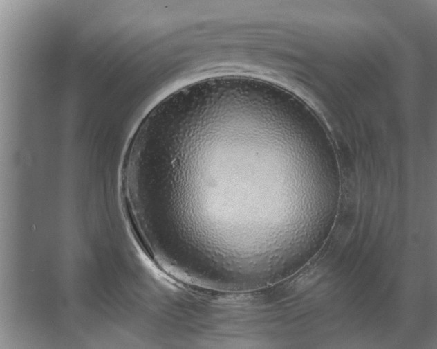 X0000071831535200606301306