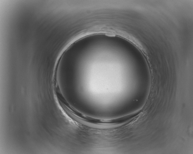 X0000071831536200606301306