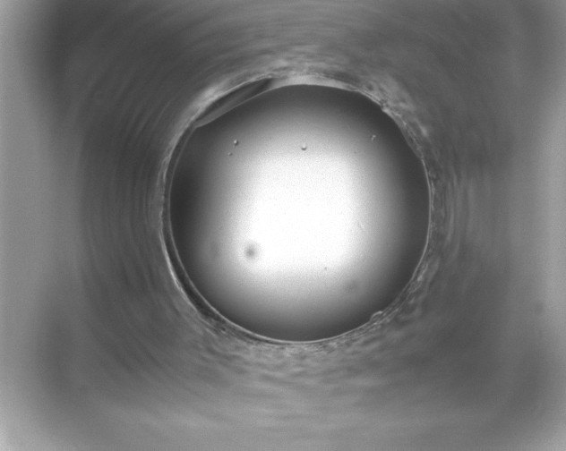 X0000071830003200607072222