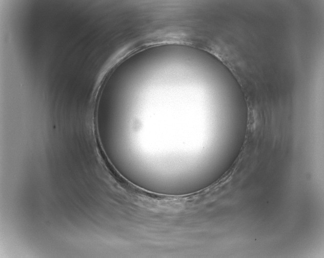 X0000071830004200607072222