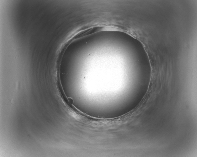 X0000071830005200607072222