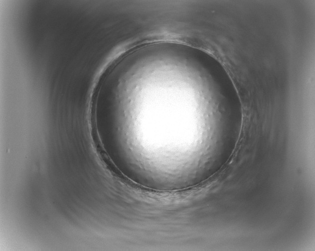 X0000071830006200607072222