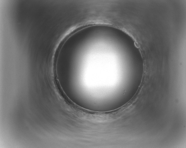 X0000071830008200607072222