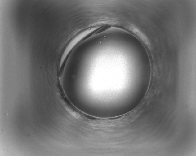 X0000071830009200607072222