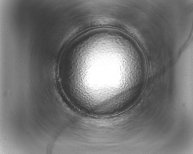 X0000071830010200607072222