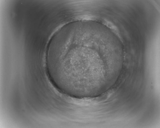 X0000071830012200607072221