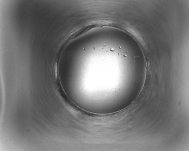 X0000071830013200607072221