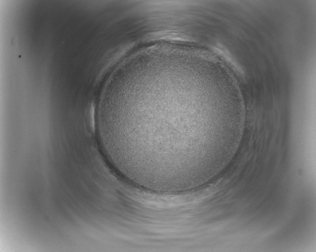 X0000071830014200607072221