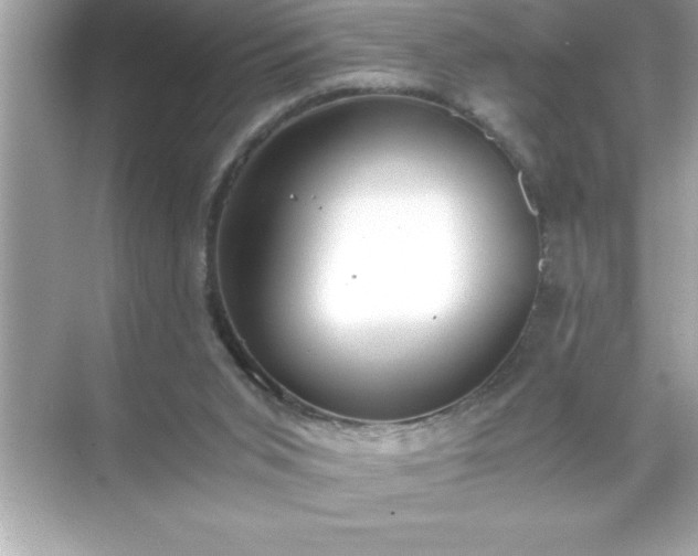 X0000071830015200607072221