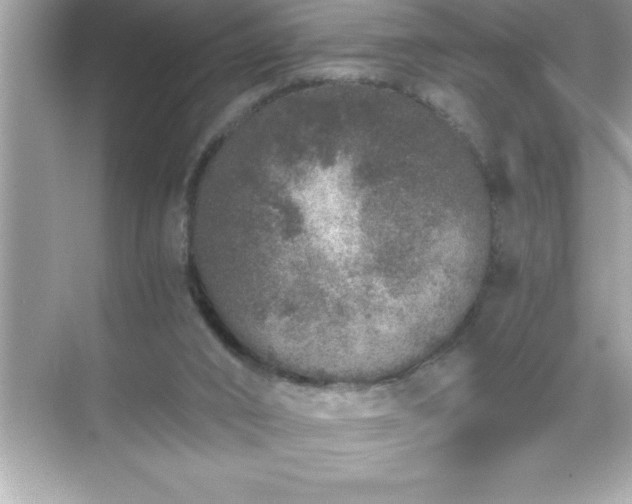 X0000071830016200607072221