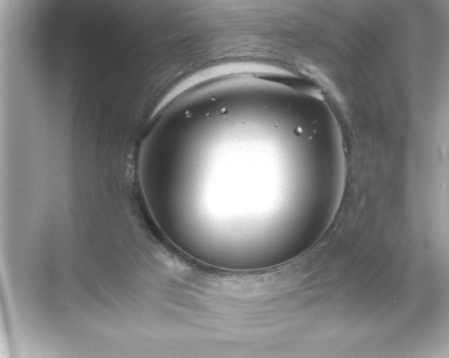 X0000071830017200607072221