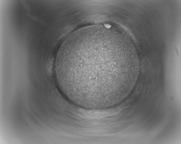 X0000071830018200607072221