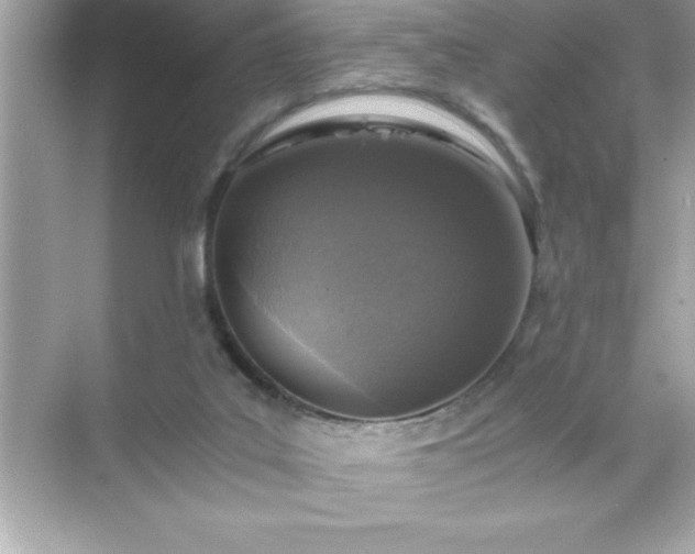 X0000071830019200607072221