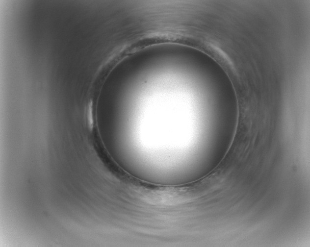 X0000071830020200607072221