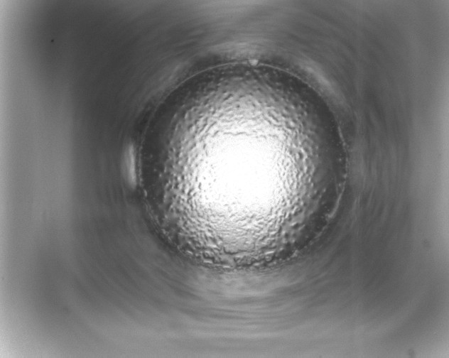 X0000071830022200607072221