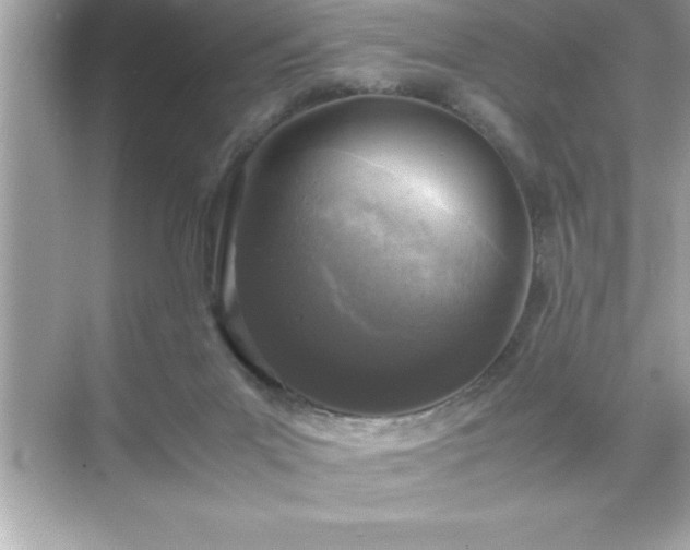 X0000071830023200607072221