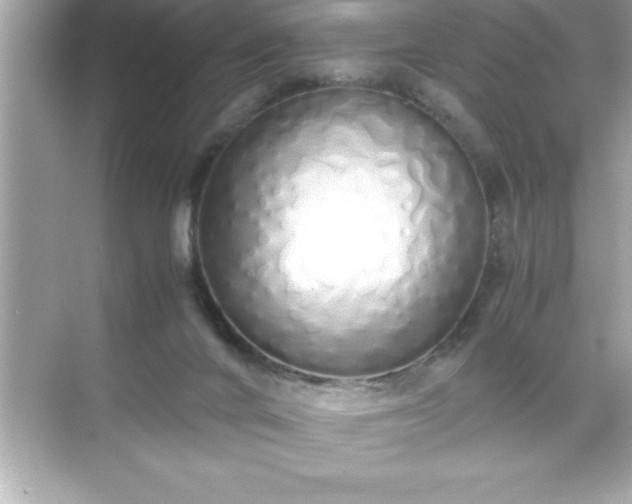 X0000071830024200607072221