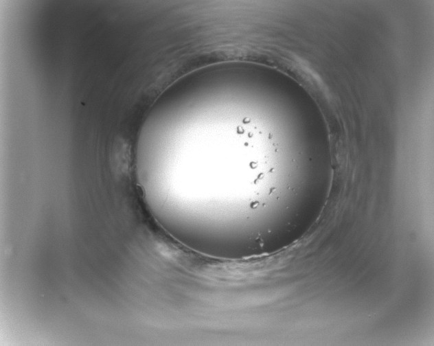 X0000071830025200607072221