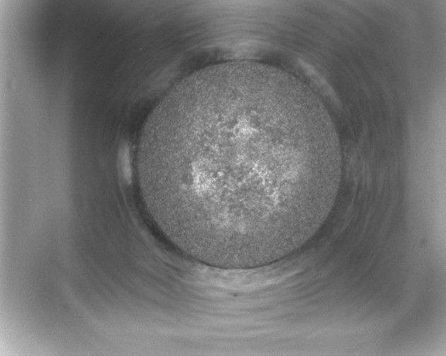 X0000071830026200607072221