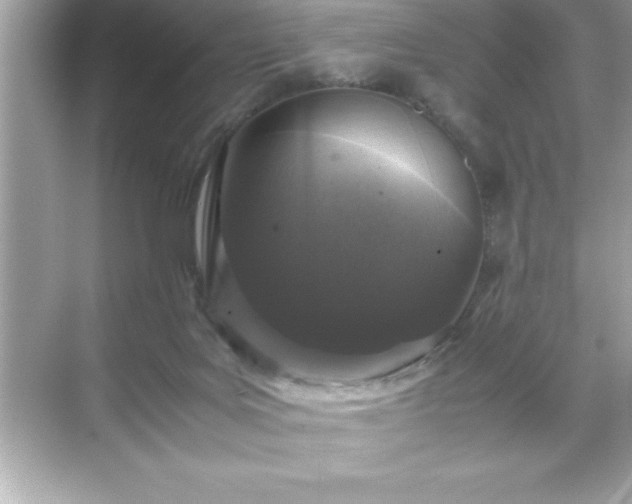 X0000071830027200607072221