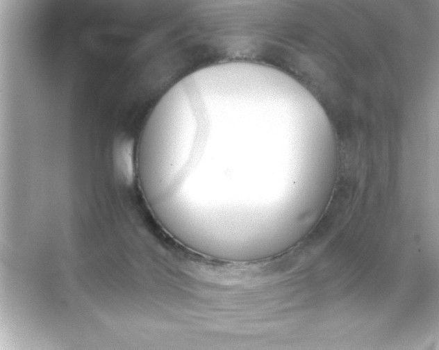 X0000071830028200607072221