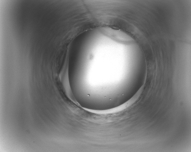 X0000071830029200607072221