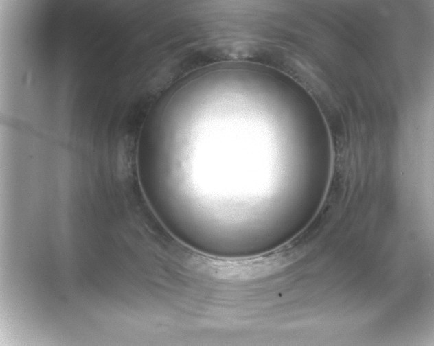 X0000071830030200607072221