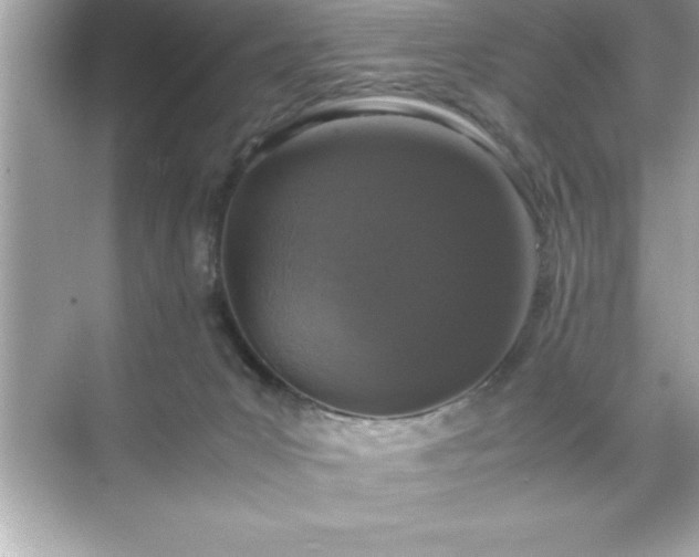 X0000071830031200607072221