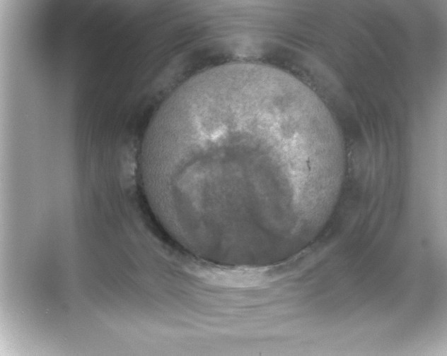 X0000071830032200607072221