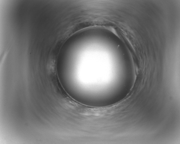 X0000071830033200607072221