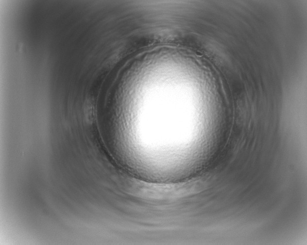 X0000071830034200607072221