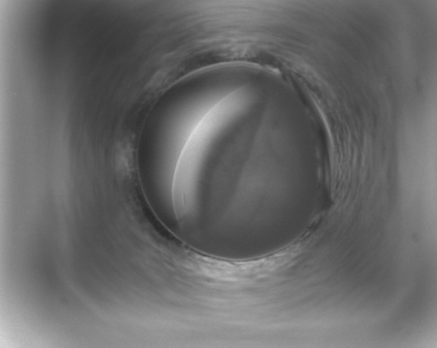 X0000071830035200607072221