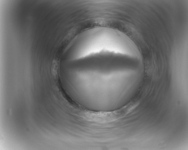 X0000071830036200607072221