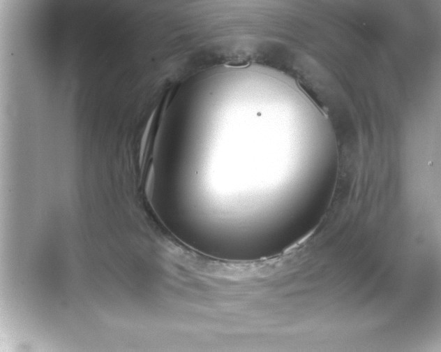 X0000071830037200607072221