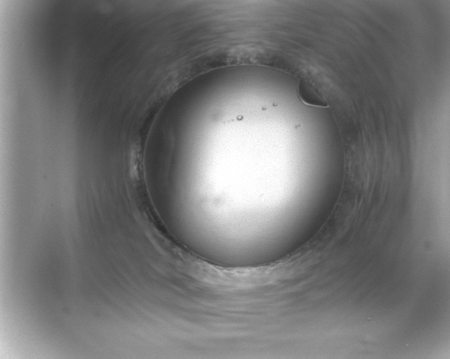 X0000071830038200607072221