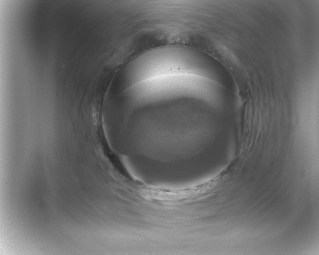 X0000071830039200607072221