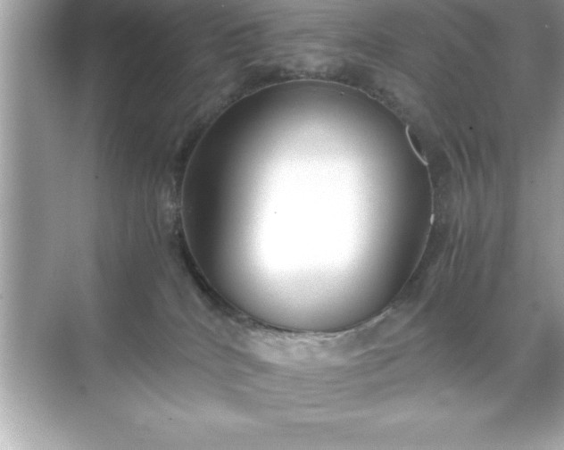 X0000071830040200607072221