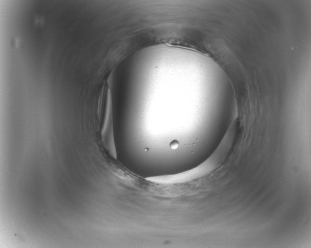 X0000071830041200607072221