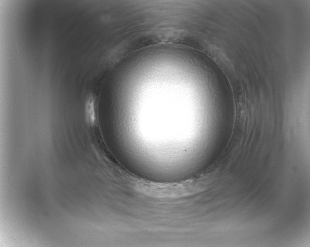 X0000071830042200607072221