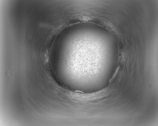 X0000071830043200607072221