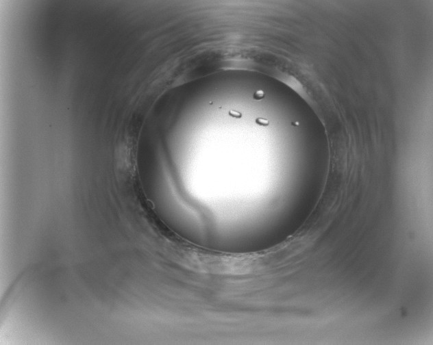 X0000071830044200607072221