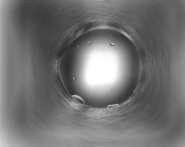 X0000071830045200607072221