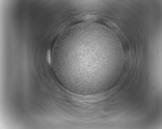 X0000071830046200607072221