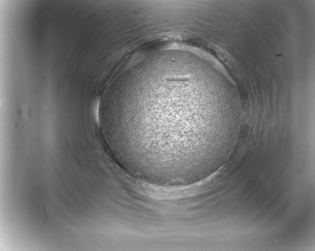 X0000071830047200607072221