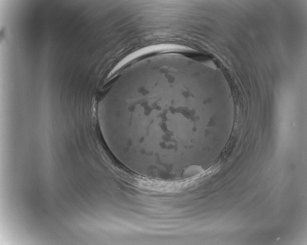 X0000071830048200607072221