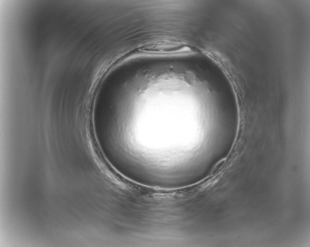 X0000071830049200607072220