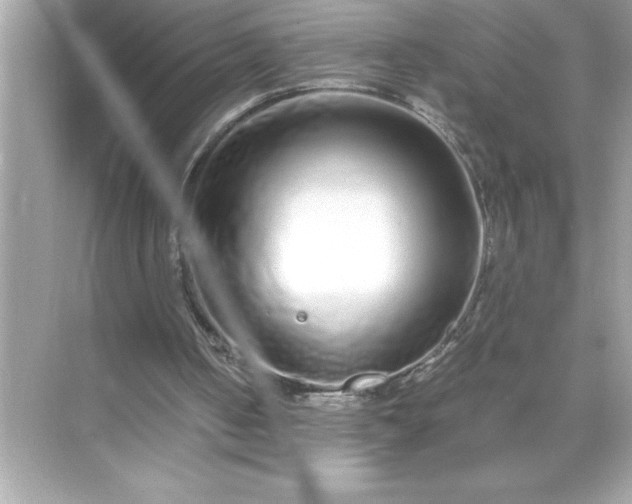 X0000071830050200607072220