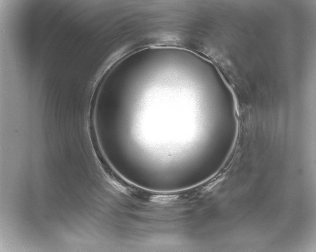 X0000071830051200607072220