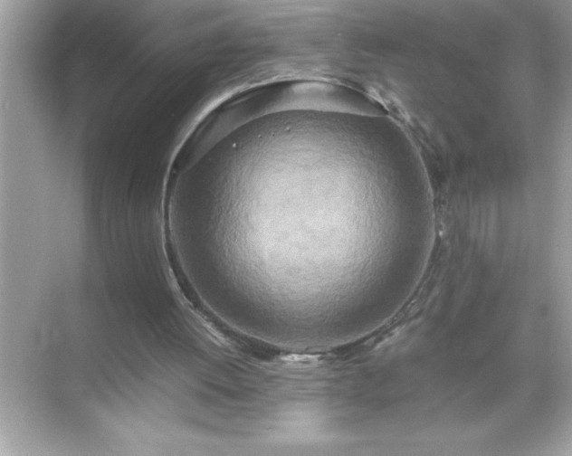 X0000071830052200607072220